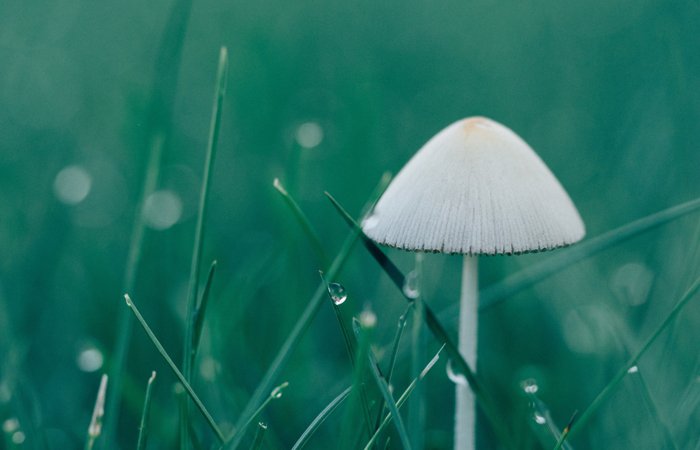 旺财28官网-追求健康,你我一起成长